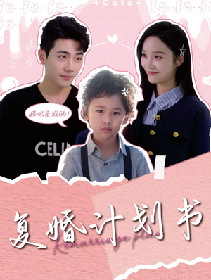 复婚计划书(96集) 复婚计划书(96集)好看短剧分享