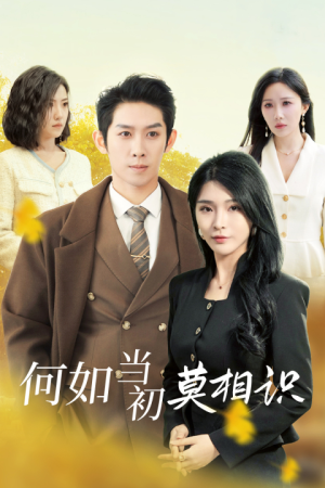 何如当初莫相识(36集) 何如当初莫相识(36集)热播短剧全集看