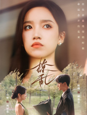 撩乱（65集）精彩好看短剧