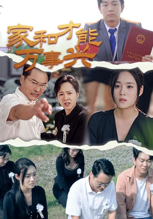 家和才能万事兴(30集) 家和才能万事兴(30集)解说