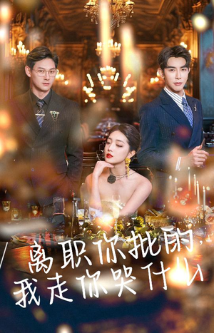 离职你批的，我走你哭什么（30集）全网独播免费看