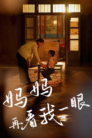 妈妈再看我一眼(32集) 妈妈再看我一眼(32集)免费观看全集