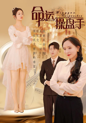 命运操盘手(40集) 命运操盘手(40集)全集