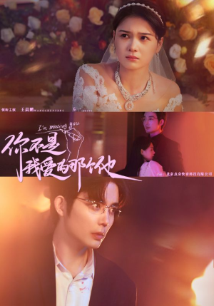 你不是我爱的那个他(54集) 你不是我爱的那个他(54集)真的太好看了