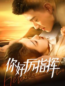你好厉指挥(100集) 你好厉指挥(100集)在线免费观影