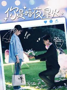你是暗夜星火(120集) 你是暗夜星火(120集)小短剧抢先看