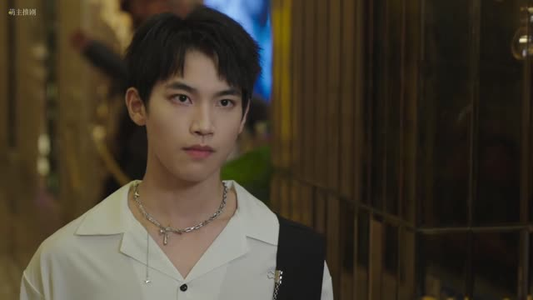 叔不知(12集) 叔不知(12集)一共多少集