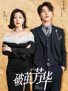 破茧芳华(80集) 破茧芳华(80集)剧情简介