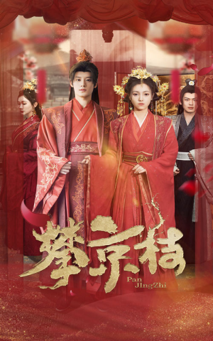 攀京枝（62集）短剧全集更精彩