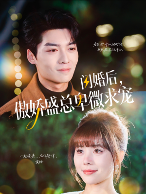 闪婚后，傲娇盛总卑微求宠（100集）简直不要太好看