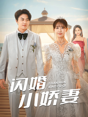 闪婚小娇妻(102集) 闪婚小娇妻(102集)好看吗