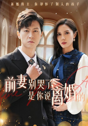 前妻别哭了，是你说离婚的（42集）精彩短剧后续