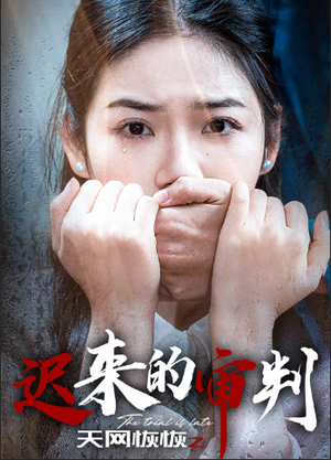 天网恢恢之迟来的审判(31集) 天网恢恢之迟来的审判(31集)去哪里看