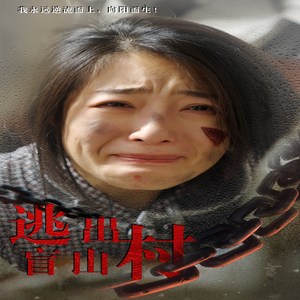 逃出盲山村(48集) 逃出盲山村(48集)演员表