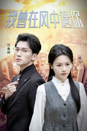 我曾在风中遇你(30集) 我曾在风中遇你(30集)免费观看