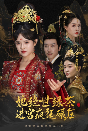 万凤之凰(63集) 万凤之凰(63集)全集完整版