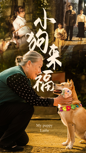 小狗来福(30集) 小狗来福(30集)一共多少集