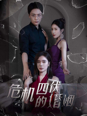 危机四伏的婚姻（56集）全季一次看完