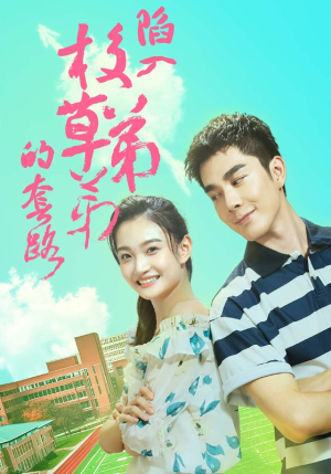 陷入校草弟弟的套路(60集) 陷入校草弟弟的套路(60集)百度网盘资源