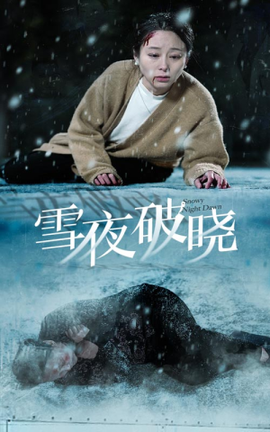 雪夜破晓(36集) 雪夜破晓(36集)流畅播放免费看