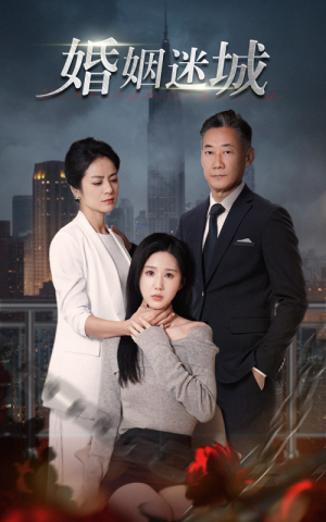 新:婚姻迷城(60集) 新:婚姻迷城(60集)评价怎么样