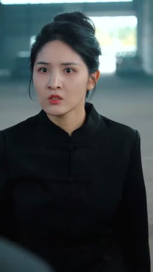 宗师（60集）免费观看完整版