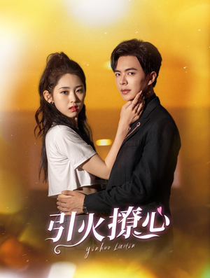 引火撩心(100集) 引火撩心(100集)在线看免费版