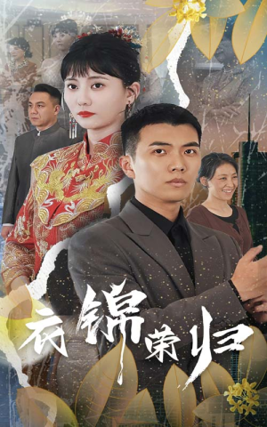 衣锦荣归(81集) 衣锦荣归(81集)全集免费看短剧