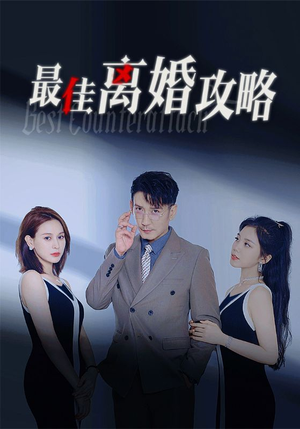 最佳离婚攻略(31集) 最佳离婚攻略(31集)短剧完整版免费