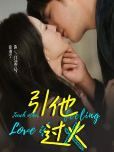 引他过火(40集) 引他过火(40集)一共多少集