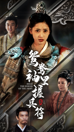 鸳鸯袖里握兵符(88集) 鸳鸯袖里握兵符(88集)第三季