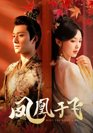 凤凰于飞(79集) 凤凰于飞(79集)夸克在线观看