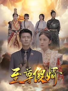 至尊傻婿(82集) 至尊傻婿(82集)短剧越看越精彩