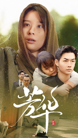 芳华（80集）免费在线看全集