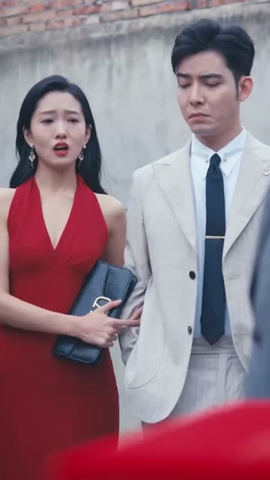 他的荣耀(合集) 他的荣耀(合集)解说文案