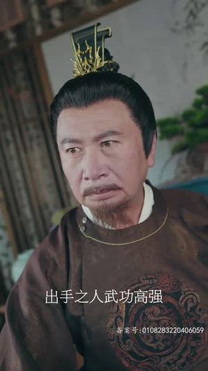 王行天下（100集）短剧上头又好看