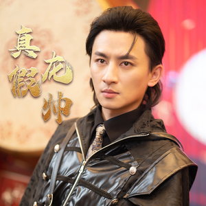 真假龙帅(81集) 真假龙帅(81集)一起追短剧