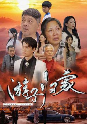 游子归家(88集) 游子归家(88集)短剧演员排行榜