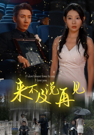 来不及说再见(30集) 来不及说再见(30集)超火热门短剧