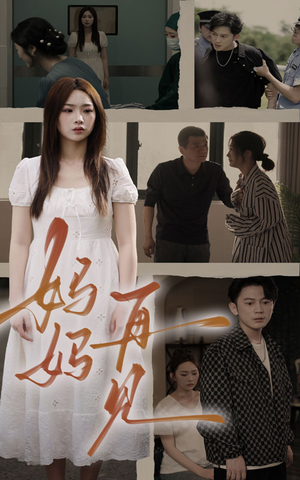 妈妈,再见(28集) 妈妈,再见(28集)一起追短剧