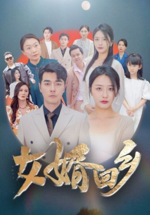 女婿回乡(120集) 女婿回乡(120集)番茄免费短剧