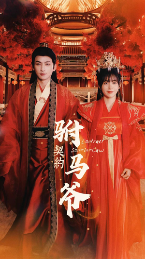 契约驸马爷（74集）精彩短剧看不停