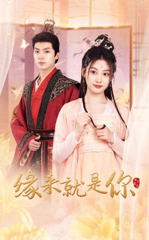 缘来就是你(65集) 缘来就是你(65集)短剧介绍