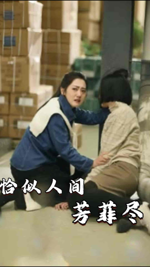 恰似人间芳菲尽(68集) 恰似人间芳菲尽(68集)免费看全集