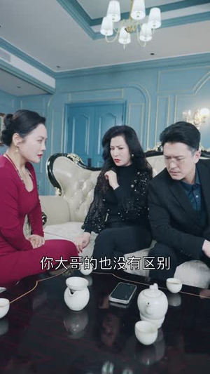 豪门阔太有点辣（88集）好看的短剧