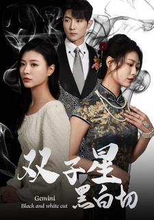 双子星黑白切(82集) 双子星黑白切(82集)免费版