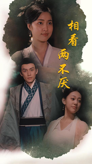 这个王妃不好惹(85集) 这个王妃不好惹(85集)正能量短剧分享