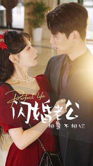 闪婚老公相逢不相识(90集) 闪婚老公相逢不相识(90集)短剧爆款推荐