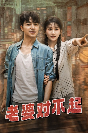 老婆对不起(81集) 老婆对不起(81集)剧情简介