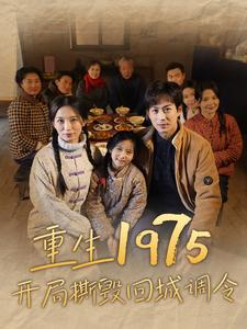 重生1975开局撕毁回城调令（83集）百度网盘资源